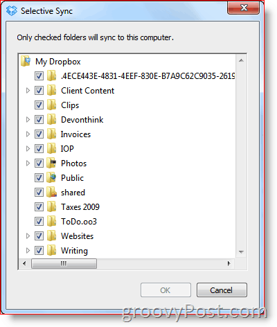 Dropbox Selective Sync-Menü mit Ordnern, die für die lokale Synchronisierung ausgewählt wurden