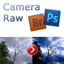 Verwendung von Camera Raw in Bridge CS5 und Photoshop CS5