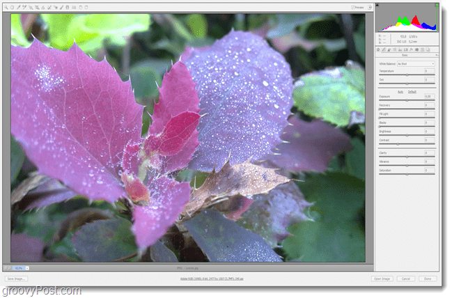 ปรับภาพดิบของคุณใน adobe bridge