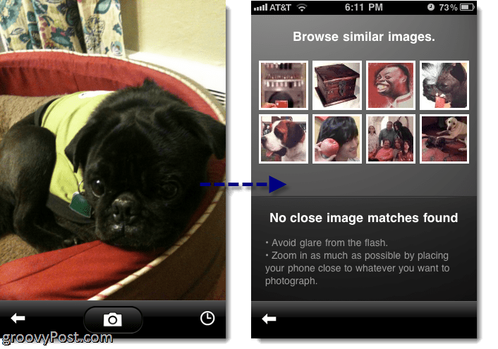 GOOGLE GOGGLES се справя с животните