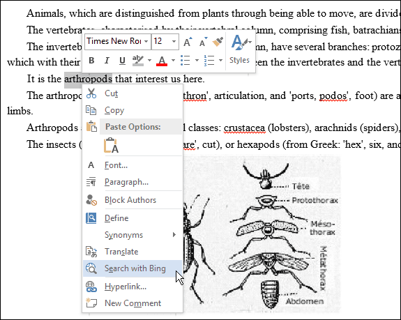 Ändern Sie den Standardsuchanbieter für Microsoft Office 2013