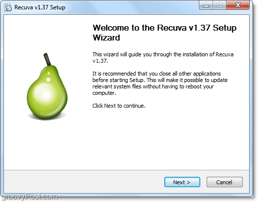 Setup Recuva installatiewizard