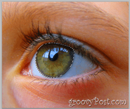 Adobe Photoshop Basics - Human Eye selecteer de volledige ooglaag