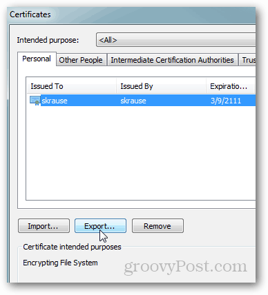 IE9 - Export EFS Certificate