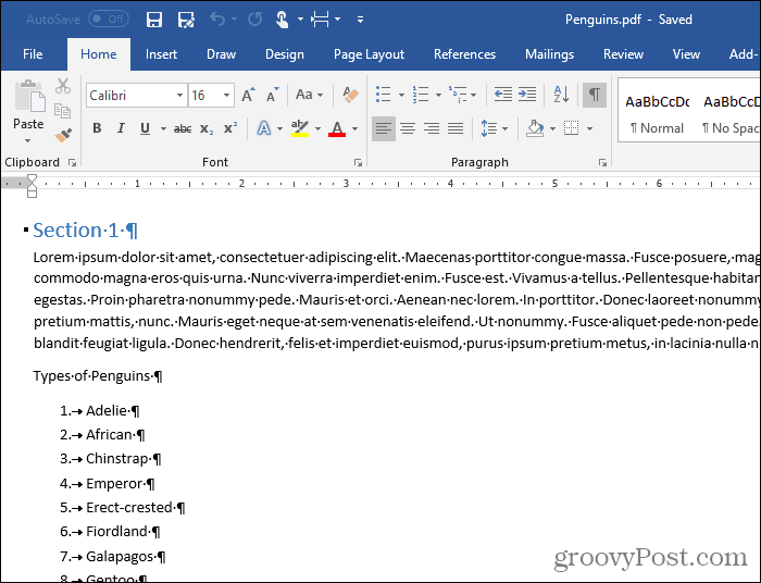 Dönüştürülmüş PDF dosyası Word'de açık