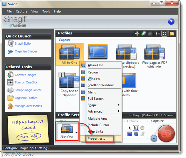 propiedades de entrada de perfil de snagit 10