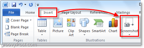 스크린 샷 버튼은 office 2010의 삽입 리본 아래에 있습니다.