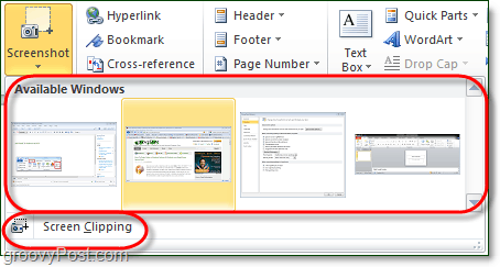 เครื่องมือสกรีนช็อตมีสองตัวเลือกใน office 2010