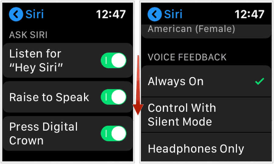 Apple Watch Siri Settings