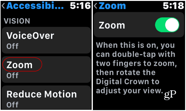 Apple Watch Zoom