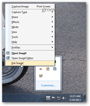 изход процес на snagit фон