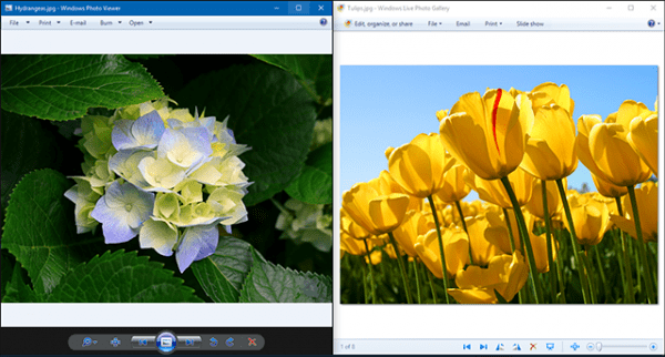 Photo Viewer 2