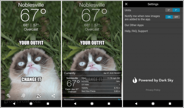 grumpy cat weather app