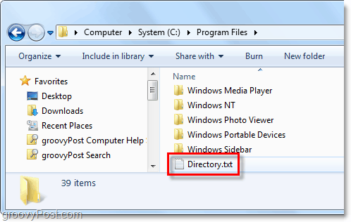 Windows 시스템에서 directory.txt 파일이 생성됩니다