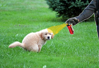 Casualmente Pepe Spray Tutto Cop Casualmente Pepe Spray Tutto Cop