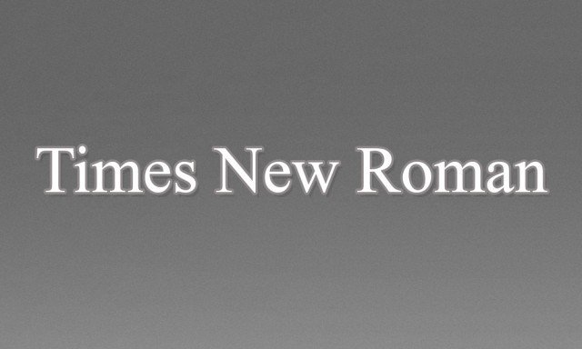 2 - Times New Roman